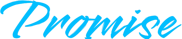 Promise